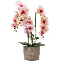 Homescapes Roze en witte kunst Phalaenopsis orchidee in lichtgrijze cementpot, 64 cm