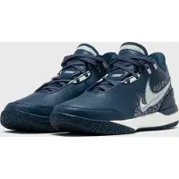Nike Schoenen Zm Lebron Nxxt Gen Ampd 400 FJ1566400