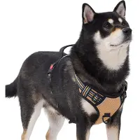 Filo Y-Tuig Anti Trek L Beige - Reflecterend Hondentuig Grote Hond - Hondenharnas Easy Walk - Hondentuigje - Harnas - Honden Tuigje