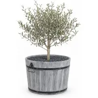 Praxis Plantenbak acaciahout rond Ø55cm grijs