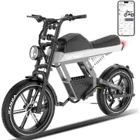 Hitway Elektrische Fiets BK28 - 20*4.5 Inch Fat Tire City Commuter EBike met Afneembare 48V 25 Ah Lithium Batterij - Mountain E-Bike met 250W Motor - 7 Versnellingen - APP Bediening