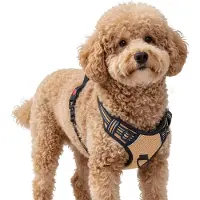 Filo Y-Tuig Anti Trek M Beige - Reflecterend Hondentuig Medium - Hondenharnas Easy Walk - Hondentuigje - Harnas - Honden Tuigje