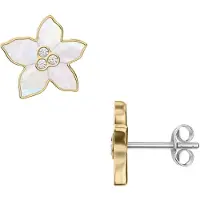 Fossil Oorbellen goud / transparant / parelwit