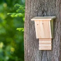 Cj Wildlife Bouwpakket vleermuizenkast Igor |
