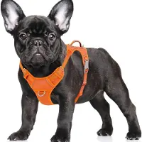Famanu – Anti-trek hondentuigje - reflecterend hondentuigje met clip aan de voorkant en eenvoudige handgreep voor wandelen - training - hardlopen met (oranje - S)