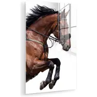 MuchoWow Glasschilderij 20x30 cm - Schilderij acrylglas - Paard - Springen - Modern - Foto op glas - Muurdecoratie woonkamer - Wanddecoratie slaapkamer - Schilderijen