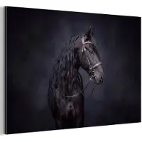 MuchoWow Aluminium schilderij 30x20 cm - Wanddecoratie metaal - Portret - Paard - Donker - Metalen muurdecoratie woonkamer - Decoratie industrieel - Foto op dibond - Industriële accessoires slaapkamer