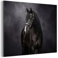 MuchoWow Aluminium schilderij 160x120 cm - Wanddecoratie metaal - Portret - Paard - Zwart - Metalen muurdecoratie woonkamer - Decoratie industrieel - Foto op dibond - Industriële accessoires slaapkamer