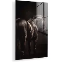 MuchoWow Glasschilderij 120x180 cm - Schilderij acrylglas - Krachtig - Paard - Donker - Foto op glas - Muurdecoratie woonkamer - Wanddecoratie slaapkamer - Schilderijen