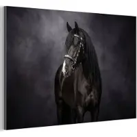 MuchoWow Aluminium schilderij 90x60 cm - Wanddecoratie metaal - Portret - Paard - Zwart - Metalen muurdecoratie woonkamer - Decoratie industrieel - Foto op dibond - Industriële accessoires slaapkamer