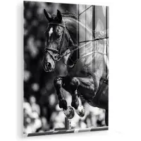 MuchoWow Glasschilderij 120x160 cm - Schilderij acrylglas - Springen - Paard - Zwart - Wit - Foto op glas - Muurdecoratie woonkamer - Wanddecoratie slaapkamer - Schilderijen