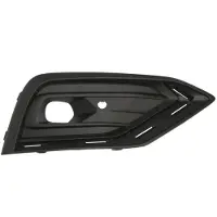 BLIC Ventilatiegrille, bumper 6502-07-9024918P
