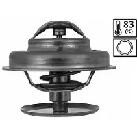 Valeo 819839 Thermostaat, koelvloeistof