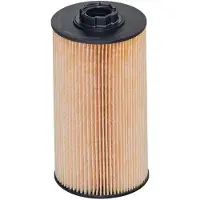 HENGST FILTER E849KP D1076 Brandstoffilter
