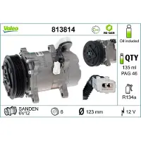 Valeo 813814 Aircopomp