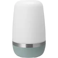 Blomus Spirit LED-lamp 35 cm Pine gray