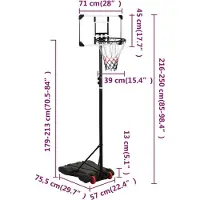 vidaXL Basketballstandaard, transparant, 216-250 cm, polycarbonaat