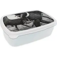MuchoWow Broodtrommel Wit - Lunchbox Paard - Sport - Zwart - Wit - Brooddoos 18x12x6 cm - Brood lunch box - Broodtrommels voor kinderen en volwassenen