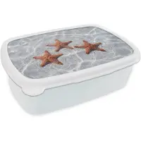MuchoWow Broodtrommel Wit - Lunchbox Zeesterren - Water - Helder - Brooddoos 18x12x6 cm - Brood lunch box - Broodtrommels voor kinderen en volwassenen