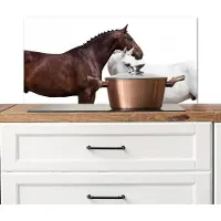 KitchenYeah Spatscherm keuken 90x45 cm - Kookplaat achterwand Paard - Modern - Balans - Muurbeschermer - Spatwand fornuis - Hoogwaardig aluminium