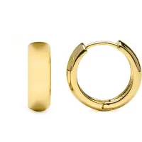 Luxenter Oorbellen 'Apruk' goud