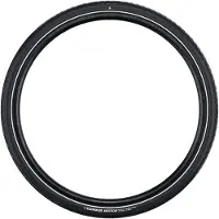 Schwalbe Motion Big Apple - Wired - ADDIX Green - RaceGuard - 16x2.00 - Black + Reflex