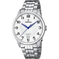 Festina Heren Zilveren Horloge F20425/1