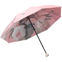 VHV -Compacte Opvouwbare Paraplu - 8-Bons Windbestendig Frame - Dubbellaagse Omgekeerde Paraplu - Sneldrogend - Inclusief Parapluhoes - Roze