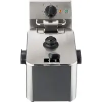 TIM. TIM Frituurpan 4 liter - Frituurpan - Zilver - 38cm x 27cm x 32cm