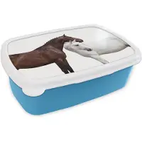 MuchoWow Broodtrommel Blauw - Lunchbox Paard - Modern - Balans - Brooddoos 18x12x6 cm - Brood lunch box - Broodtrommels voor kinderen en volwassenen