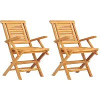 vidaXL Tuinstoelen 2 st inklapbaar 56x63x90 cm massief teakhout