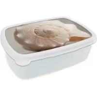 MuchoWow Broodtrommel Wit - Lunchbox Schelp - Detail - Beige - Brooddoos 18x12x6 cm - Brood lunch box - Broodtrommels voor kinderen en volwassenen