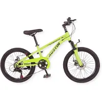 Buxibo - Fiets Austin - Kinder Mountainbike - Stalen Frame - 20 Inch - Groen