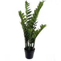 Nova Nature Zamio culcas in pot green 90cm |