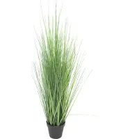 Nova Nature King festuca greenw/pot 115cm |