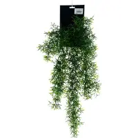 Nova Nature Sprengeri bush large on hang card green 65cm