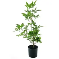 Nova Nature Aralia tree in pot cream/green 60cm |