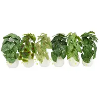 Coppens Plantje in vaasje wit