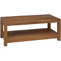vidaXL Salontafel Naturel 100 x 50 x 40 cm Massief Teakhout