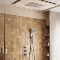 Saniclear Uni plafond inbouw regendouche 48x33cm RVS look PVD met 3 standen handdouche