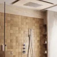 Saniclear Uni plafond inbouw regendouche 48x33cm RVS look PVD met staafhanddouche