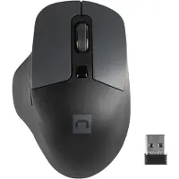 Natec BlackBird 2, Stil, Draadloos, 1600 DPI, Optisch, Zwart (Draadloze), Muis, Zwart