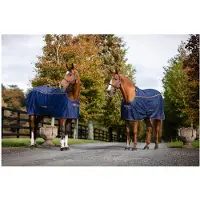 Bucas Staldeken Therapy Light Donkerblauw-oranje