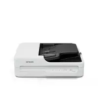 Epson WorkForce DS-1730 Flatbed-/ADF-scanner 1200 x 1200 DPI A4 Zwart, Wit (B11B273401)