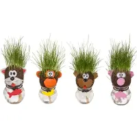 24hShop Dieren Graskop