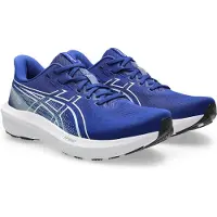 Asics Loopschoen 'GT-1000 15' blauw / wit