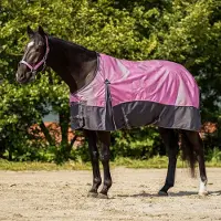 QHP Outdoor paardendeken