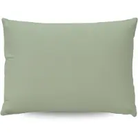 Zelesta Pure Uni Katoen Kussensloop Set van 2 - Natural Green 80x80cm