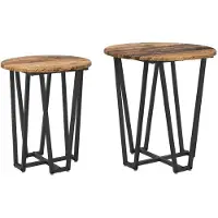 vidaXL Bijzettafelset 2 st Oud Hout en Zwart 50 x 50 x 50,5 cm