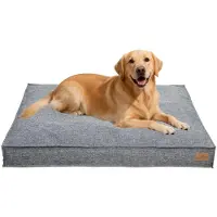 Bingopaw WISFOR Hondenbed, hondenbank, hondenbankje, hondenmand. Antislip, wasbare hoes, afneembaar. 2XL: 118 x 89 x 12 cm, grijs